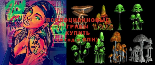 индика Горняк